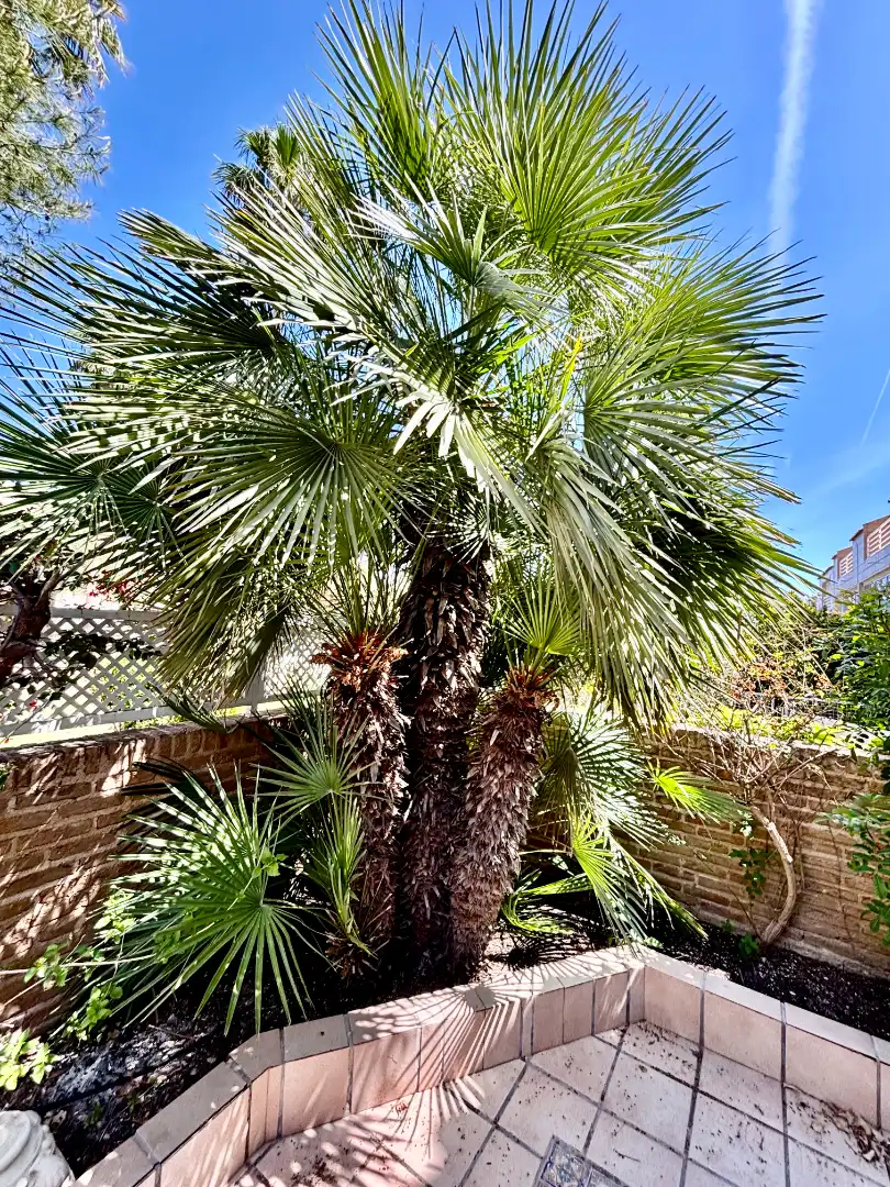 Jardín de Casa adosada en venta en Alicante / Alacant con Aire acondicionado, Jardín privado y Terraza