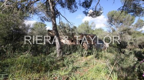 Photo 5 of Land for sale in Portopetro, Illes Balears