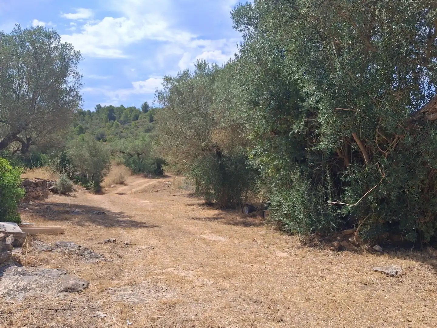 Finca rústica en venda en Tivissa amb Piscina comunitària