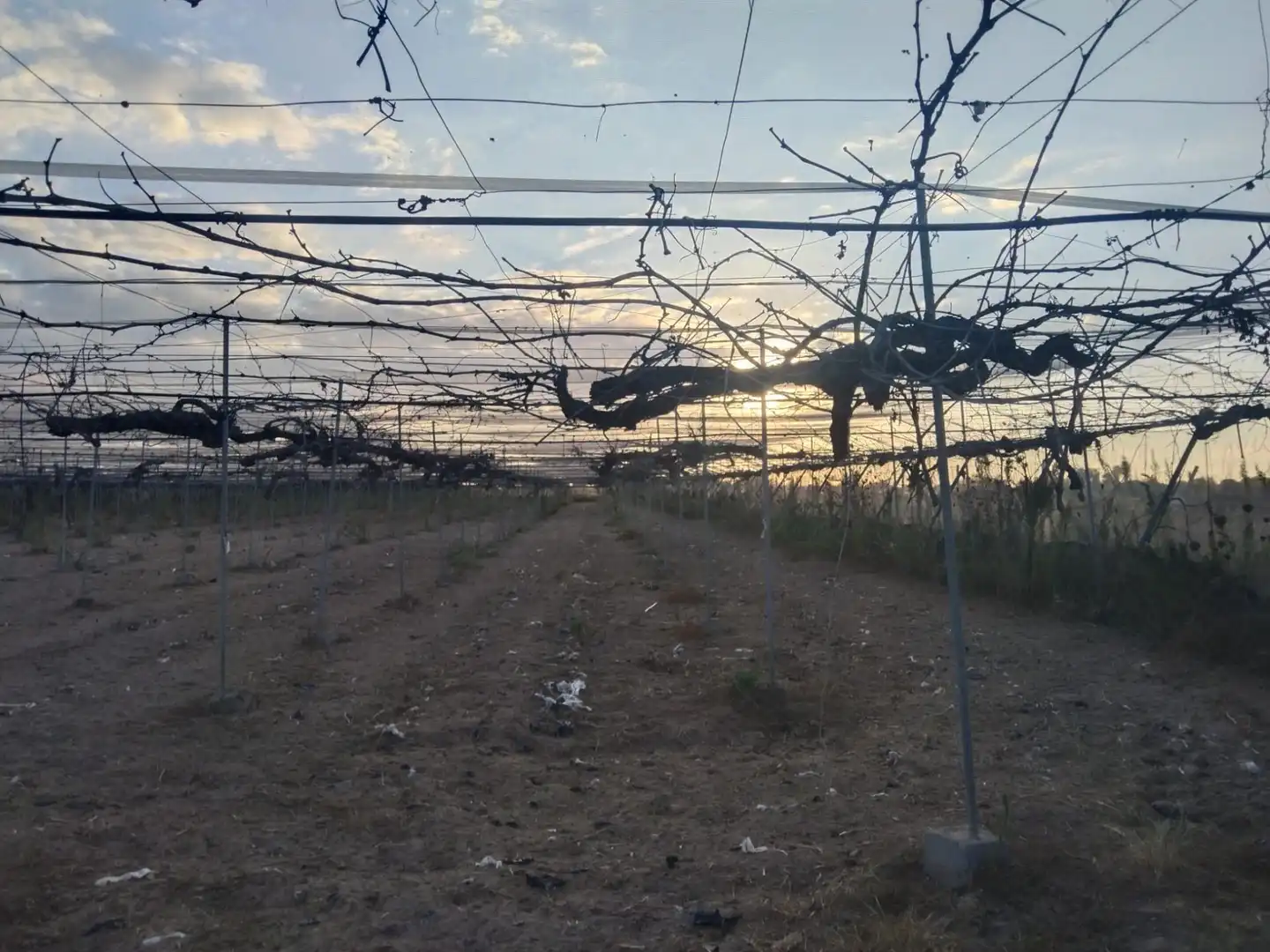 Grundstücke zum Verkauf in Camino Monroy , Pedanías Norte