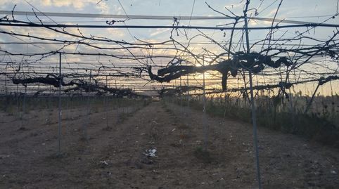 Foto 4 de Terreny en venda a Camino Monroy , Pedanías Norte, Utrera