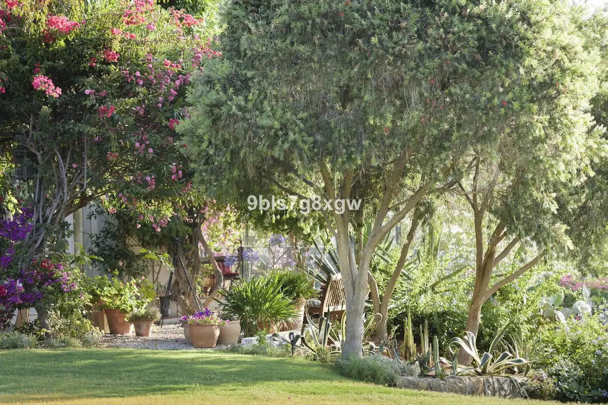 Jardí de Residencial en venda en Gaucín