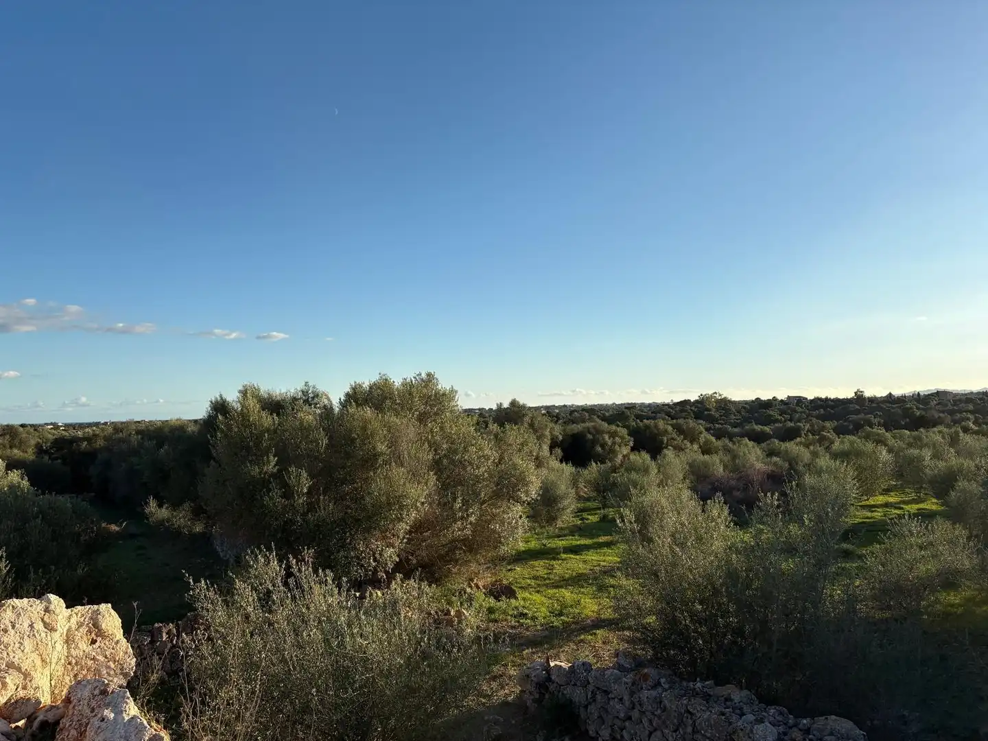 Rural land for sale in Sant Llorenç des Cardassar, imagen 23