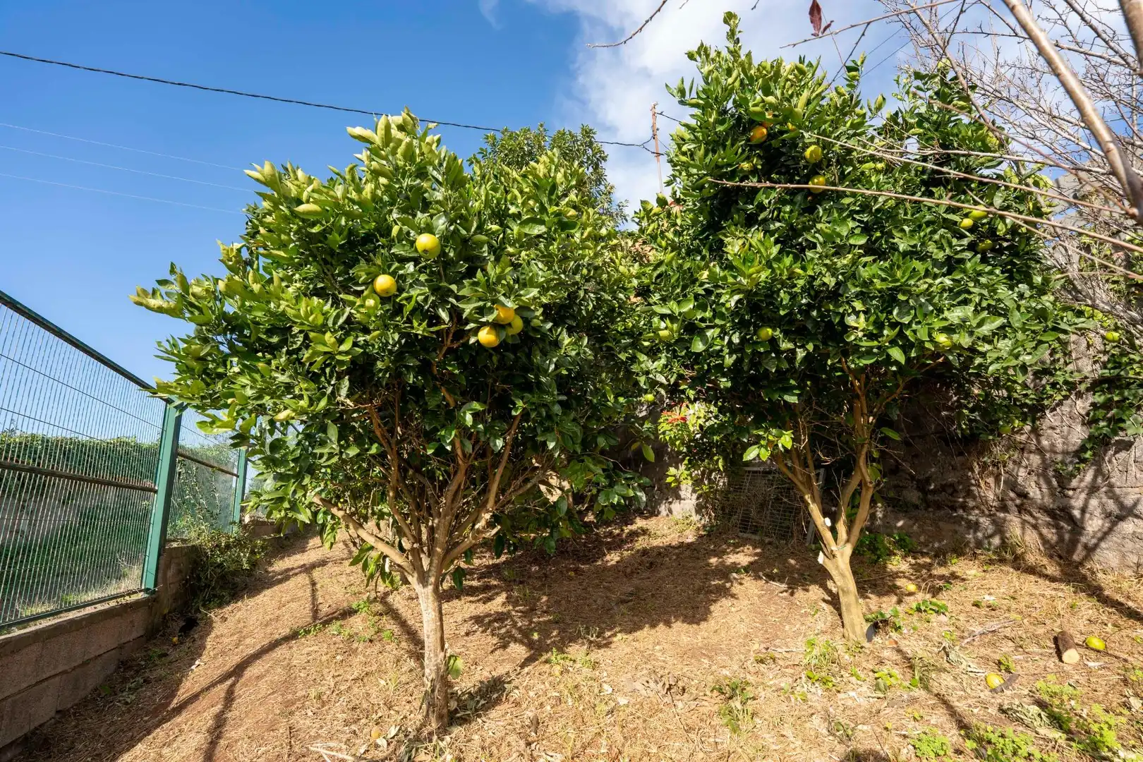 Jardín de Casa o chalet en venta en San Cristóbal de la Laguna con Jardín privado, Parquet y Terraza