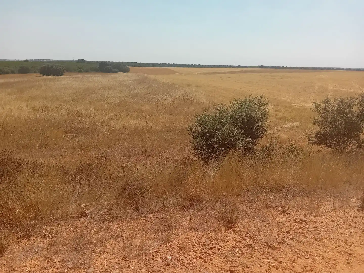 Terreno en venta en Moreruela de Tábara