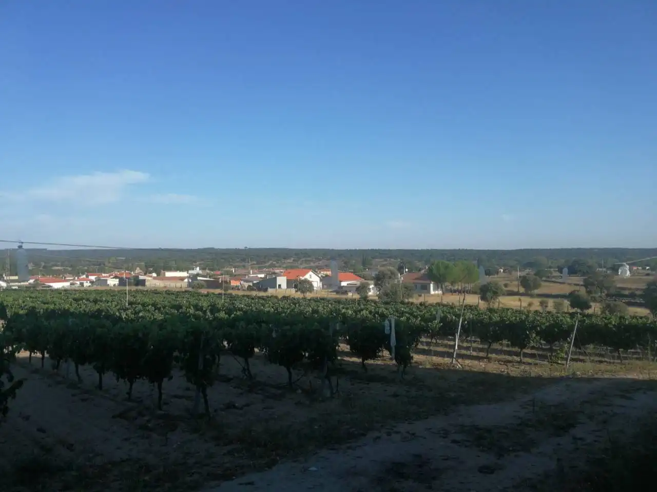 Finca rústica en venta en Puebla de Azaba
