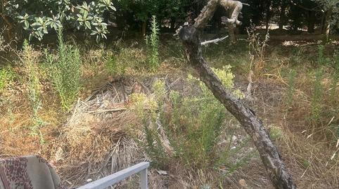 Foto 3 de Casa o chalet en venta en Cabra del Camp, Tarragona