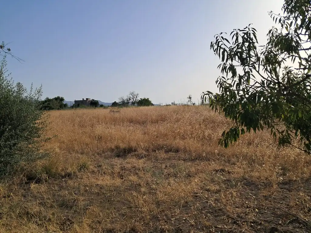 Terreny rústic en venda a Sant Antoni de Portmany, imagen 3