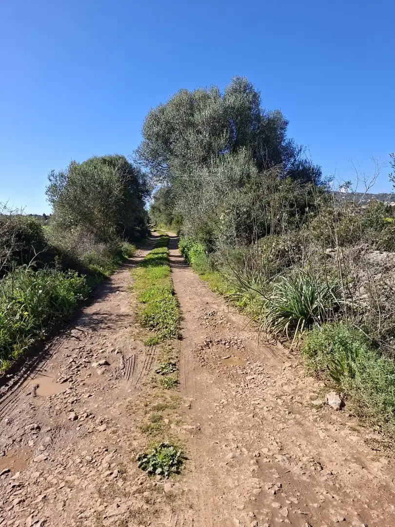 Terreno rústico en venta en Santa Eugènia