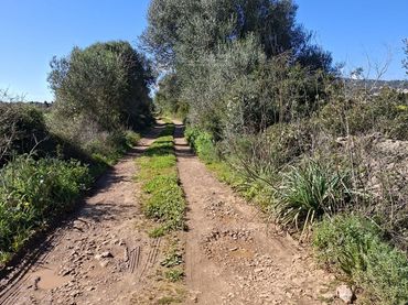 Terreno rústico en venta en Santa Eugènia