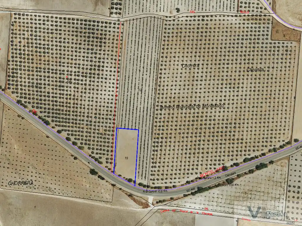 Residencial en venda en Montellano