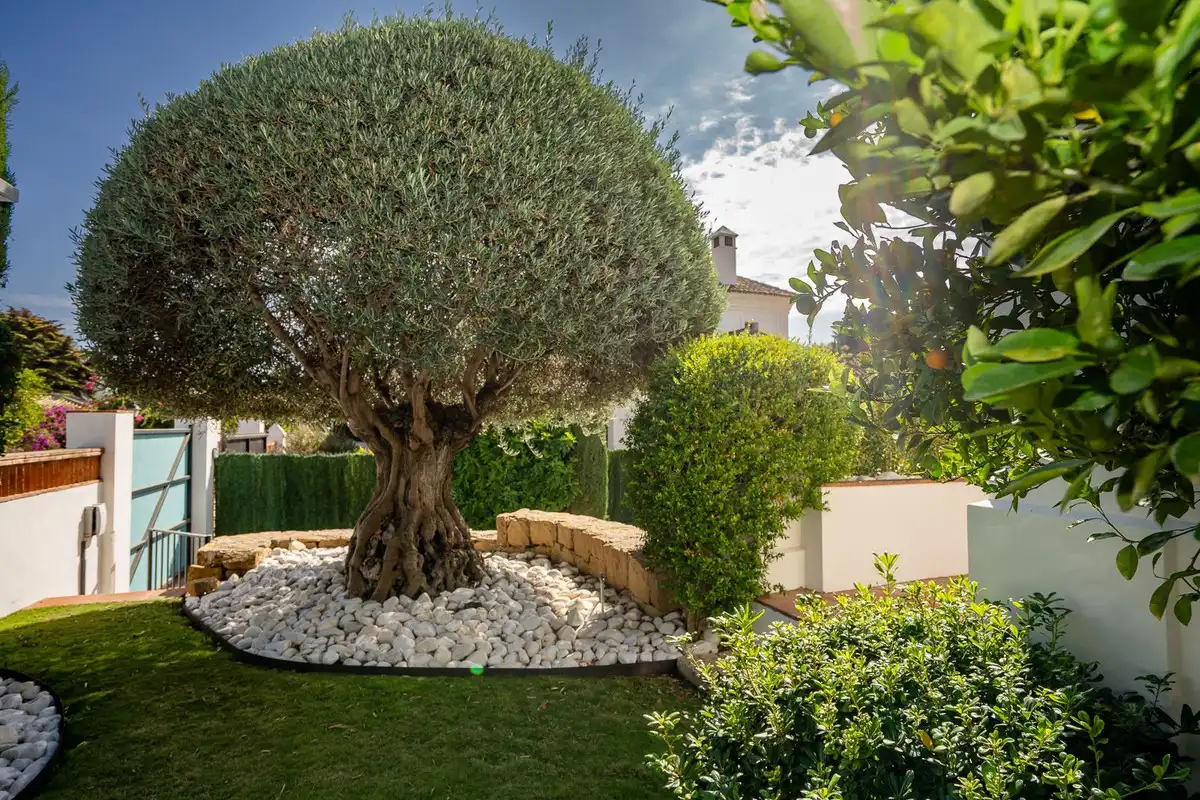 Casa a schiera in vendita a San Pedro de Alcántara, imagen 7