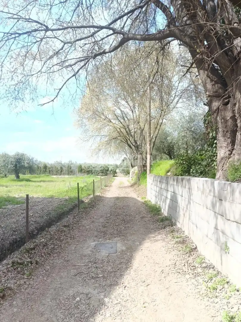 Wohnbaugrundstück zum Verkauf in Gójar, imagen 15
