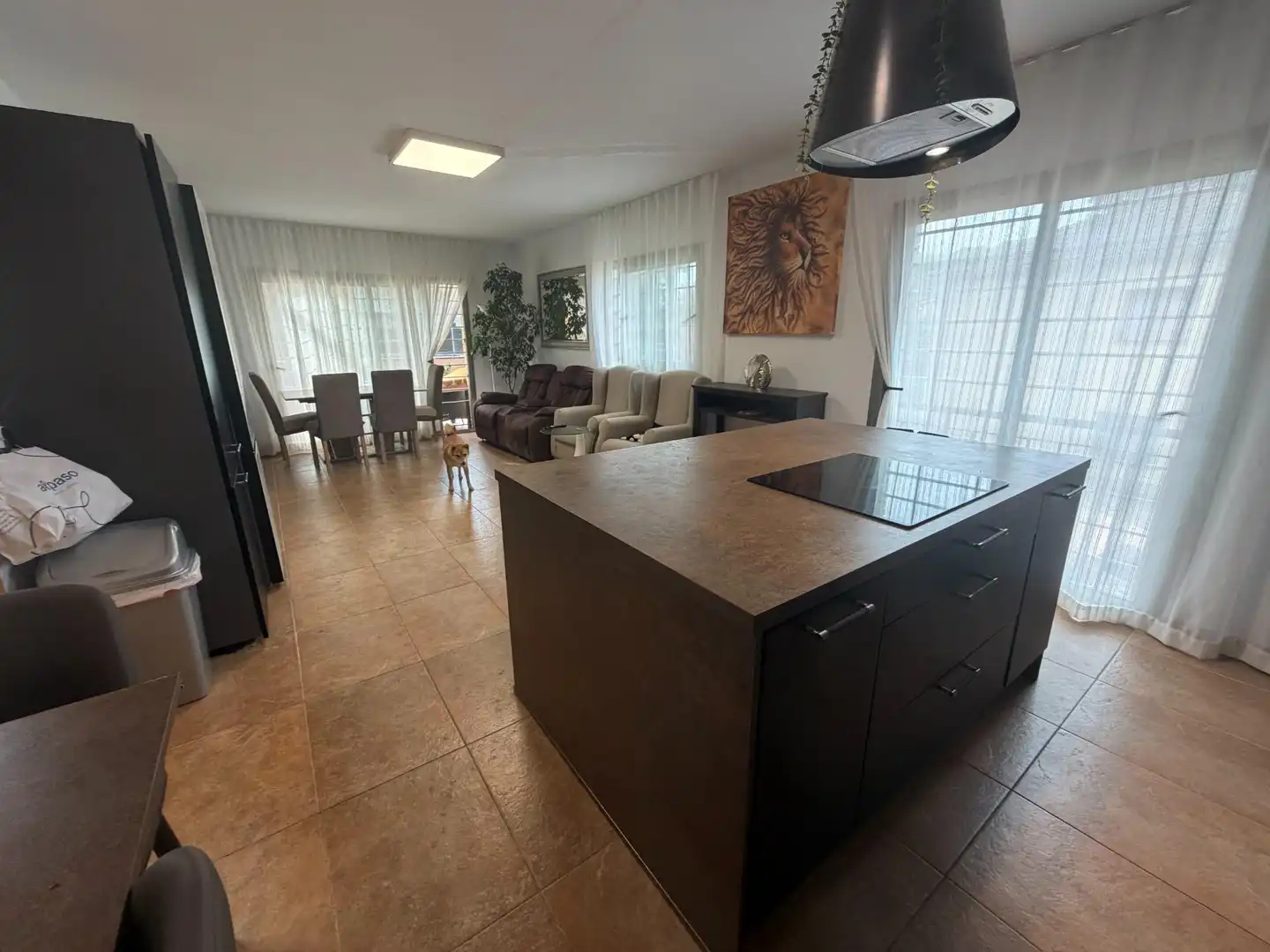 Detached house with garden for sale in Carrer Carrer Urà, imagen 6