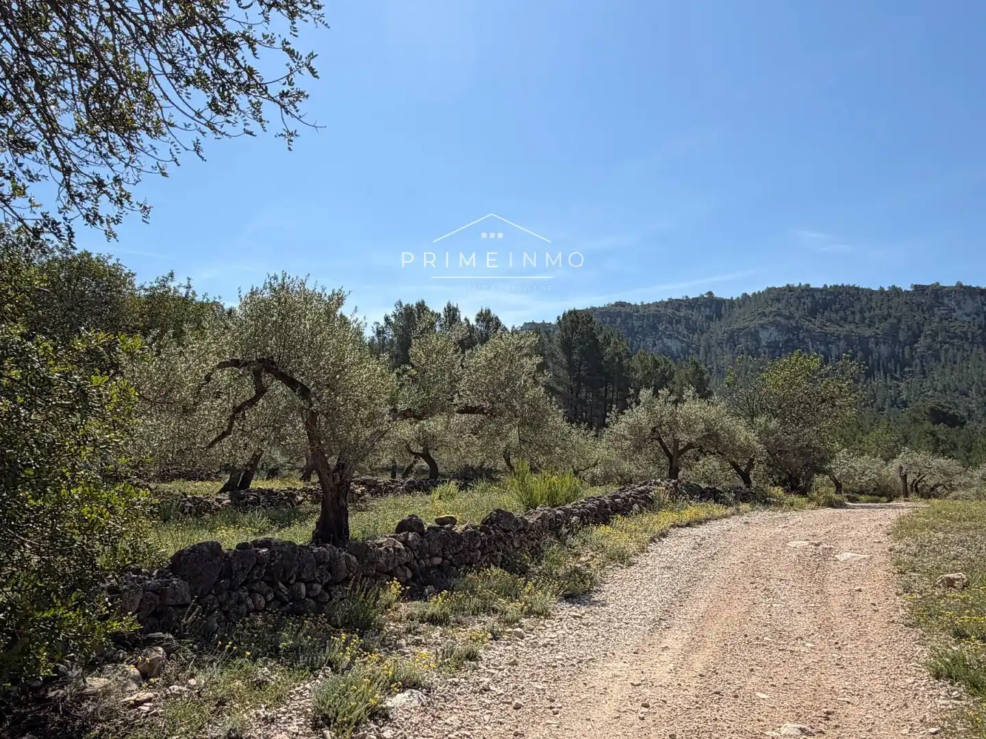 Terreno rústico en venta en L'Ametlla de Mar pueblo, imagen 20