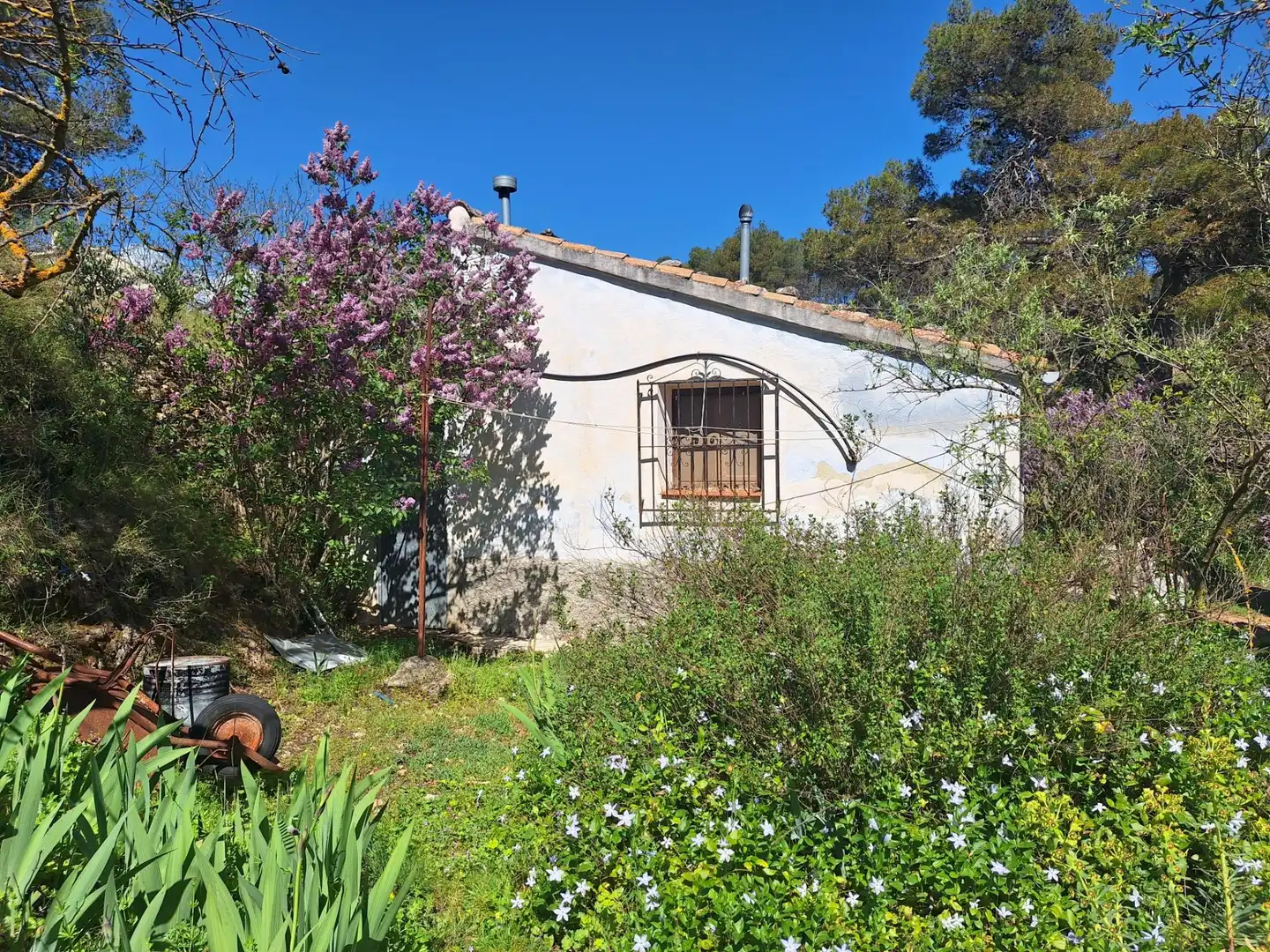 Jardí de Finca rústica en venda en Alcoy / Alcoi amb Traster i Moblat