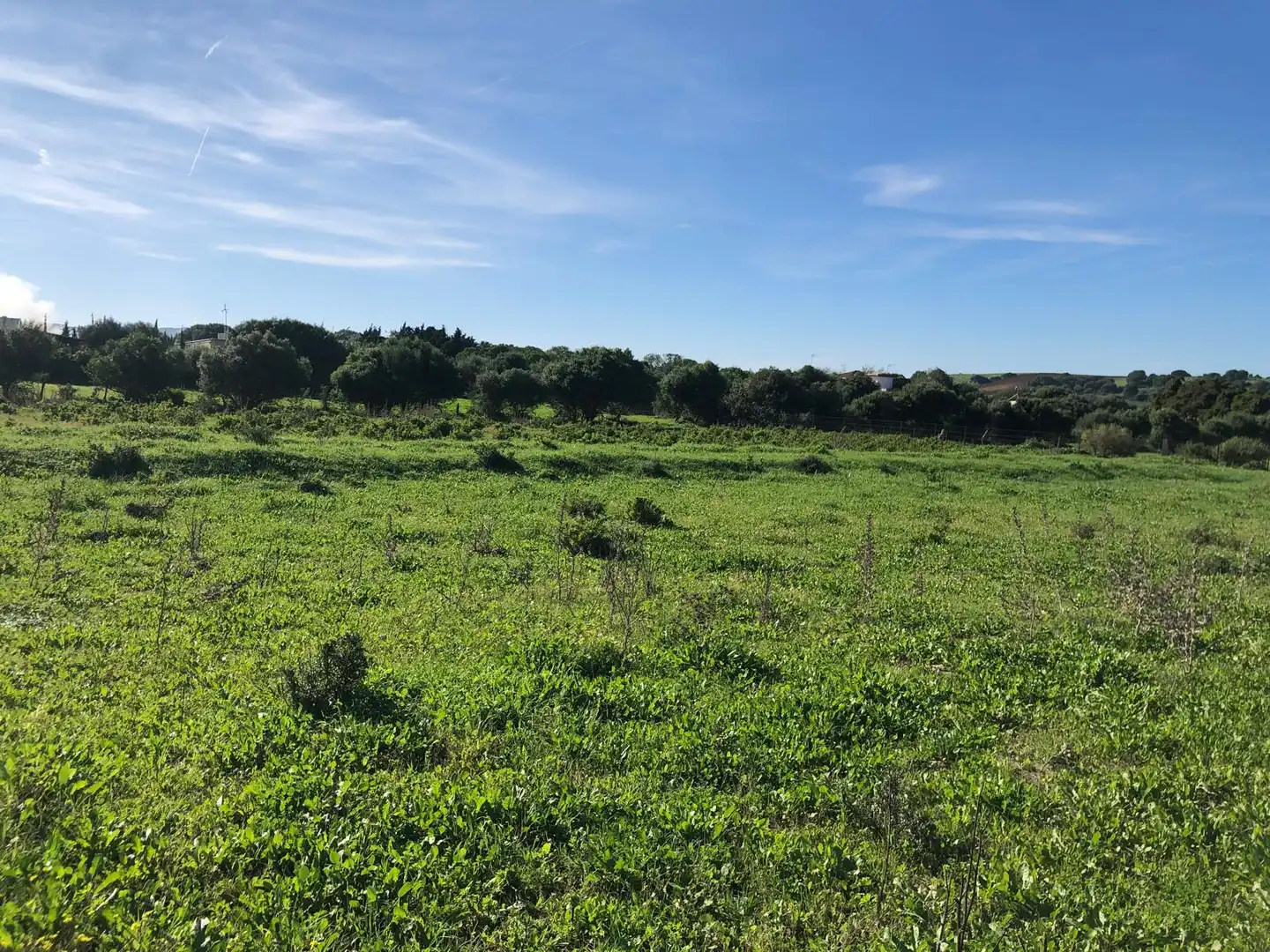 Country house for sale in Vejer, imagen 3
