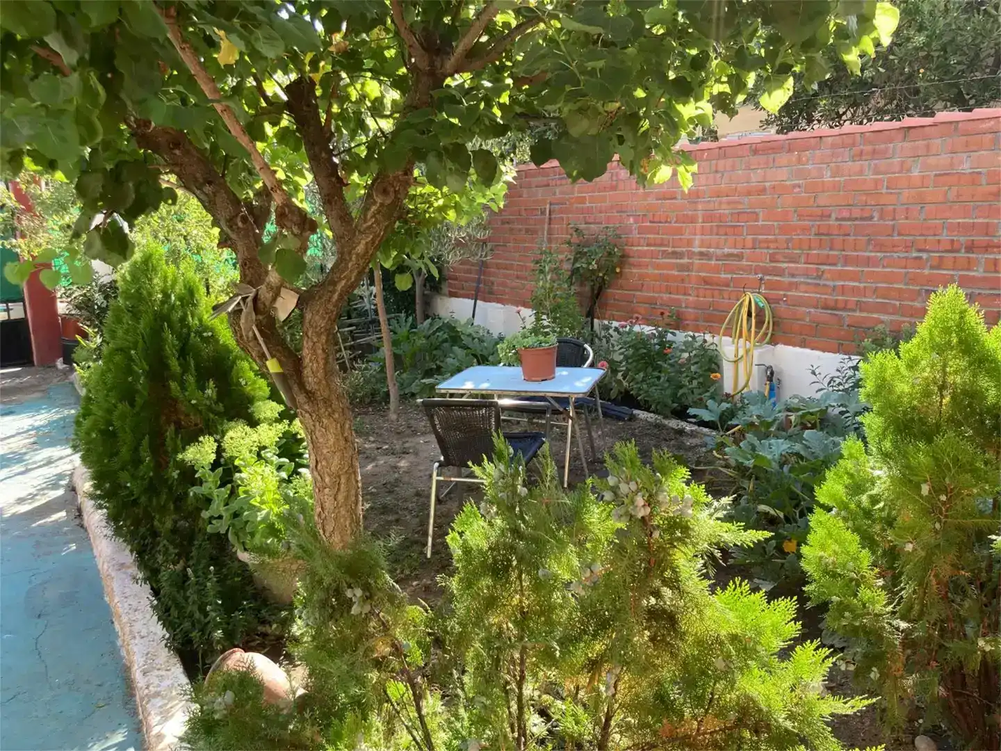 Garden of Houses for sale in Escalona, Toledo