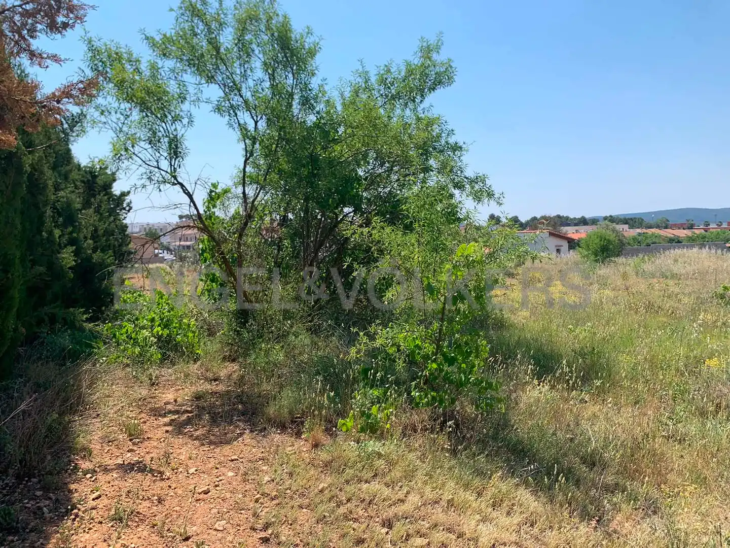 Terreny rústic en venda a Requena, imagen 11