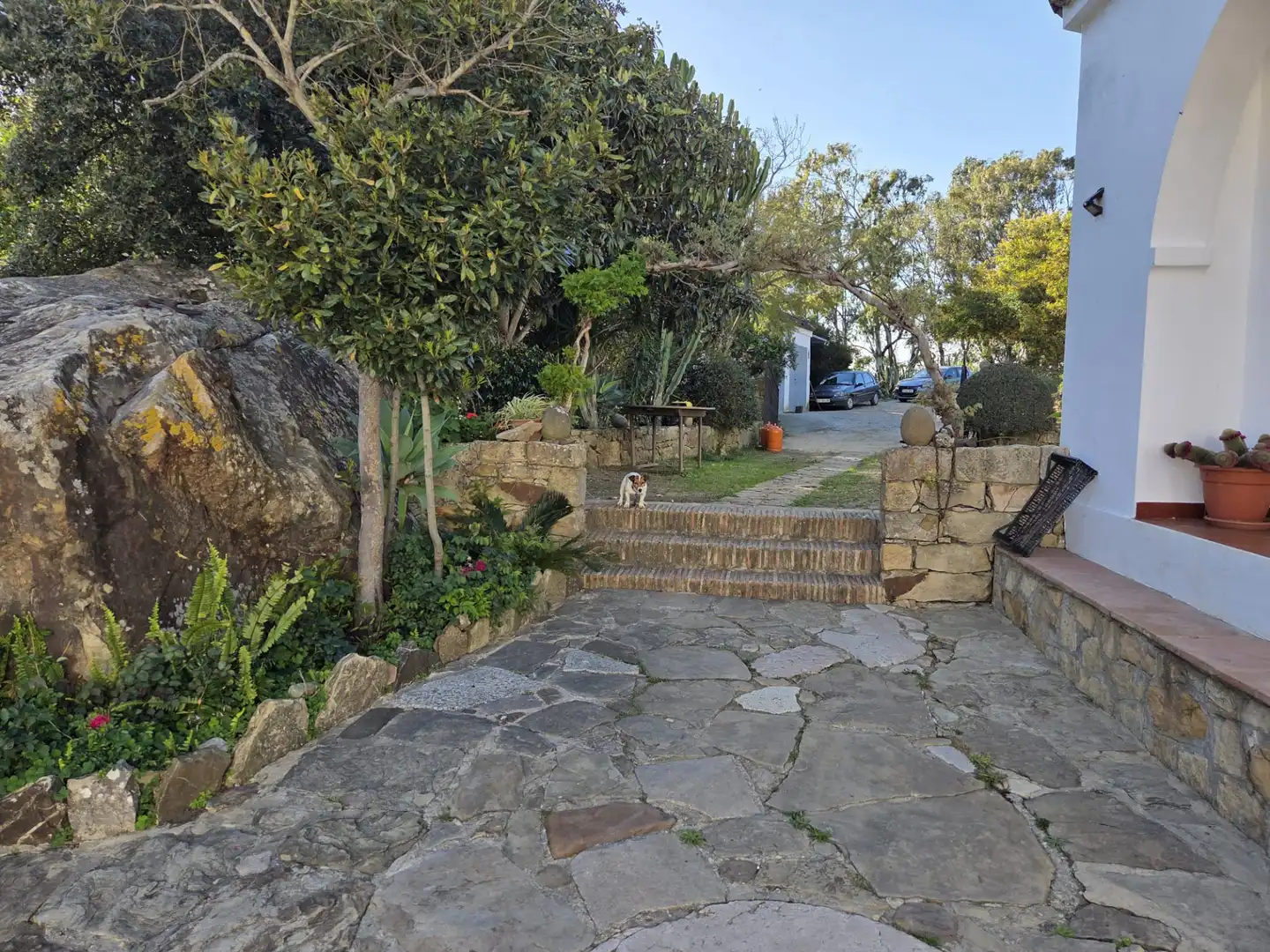 Exterior view of Country homes for sale in Tarifa ciudad