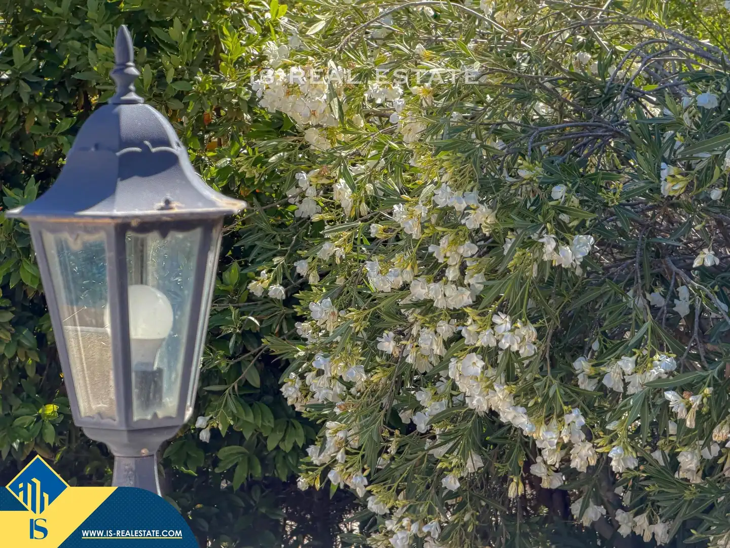 Villa avec piscine à vendre à Los Balcones - Los Altos, imagen 22