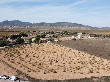 Rustikales Grundstück zum Verkauf in El Pinós / Pinoso