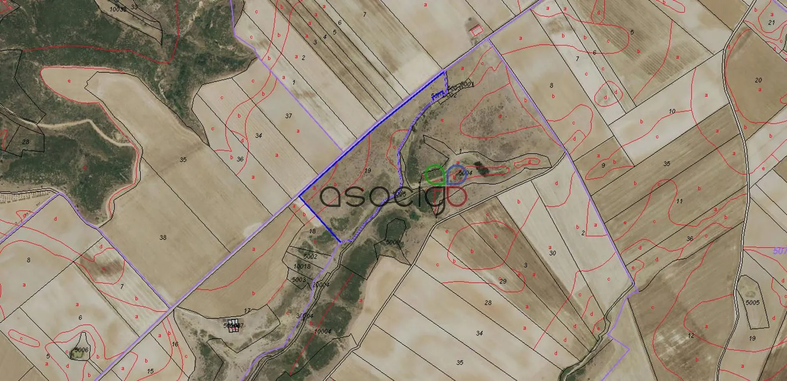 Land for sale in Cubillo de Uceda