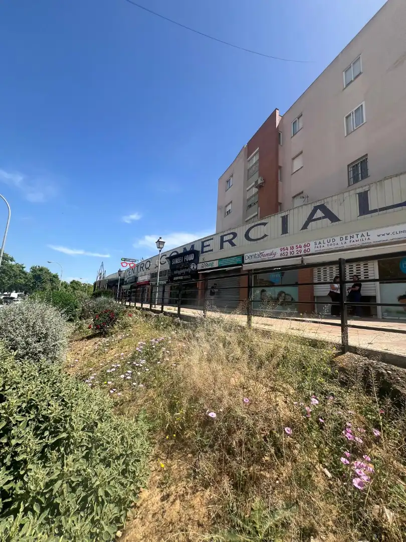 Local en venta en Mairena del Aljarafe