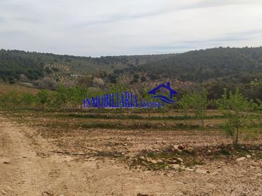 Casa rustica in vendita a Periurbano Oeste - Sierra