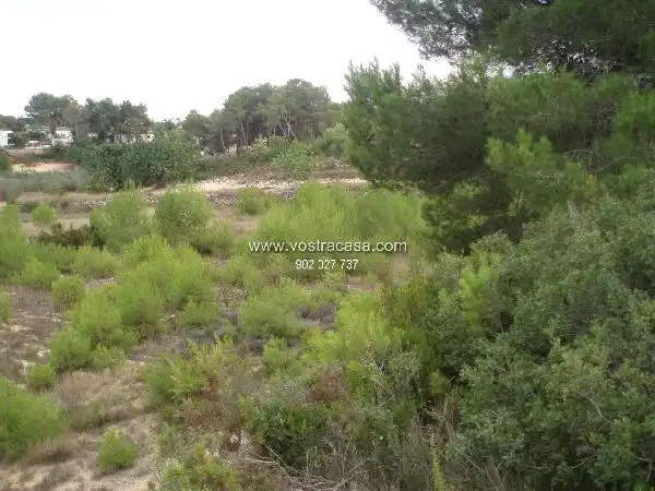 Terreno rustico in vendita a Veintiséis, imagen 4