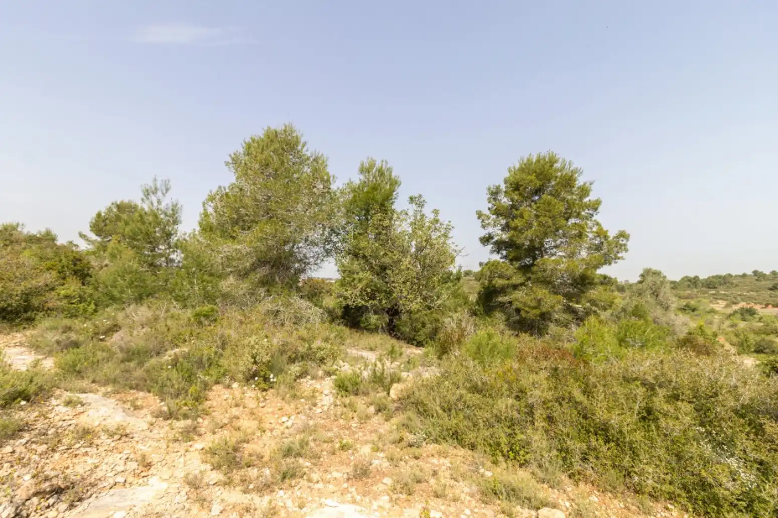 Rustikales Grundstück zum Verkauf in Monserrat - Montserrat - Calle de la malaguenya, imagen 3