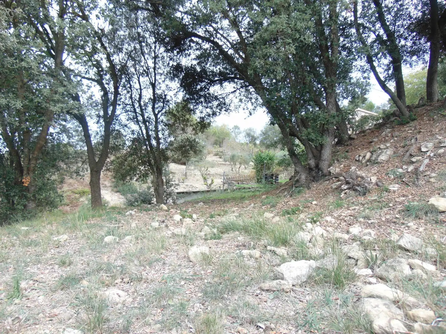 Terreny residencial en venda a de la Llebre 8, imagen 12