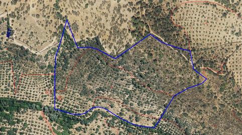 Photo 2 of Residential for sale in 7. Parcela, Villanueva del Rey, Córdoba