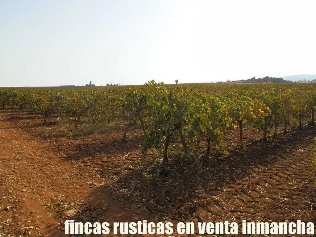 Terrenys i solars en venda a Almagro, imagen 11