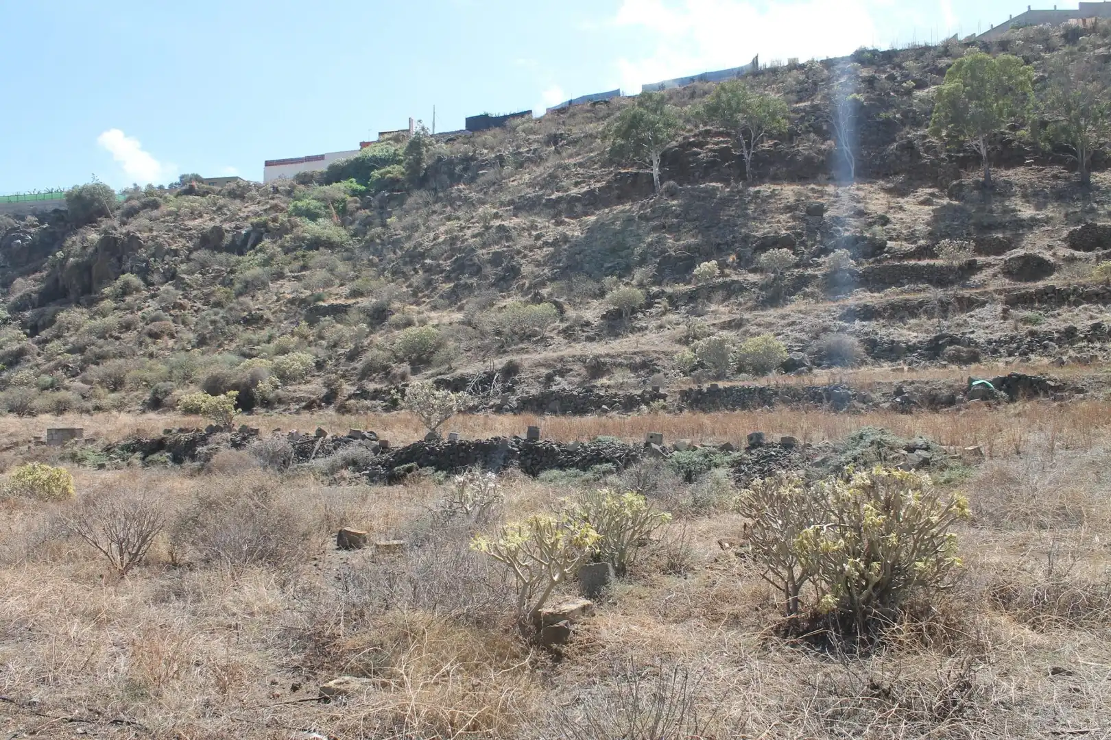 Rural land for sale in San Gregorio, imagen 6