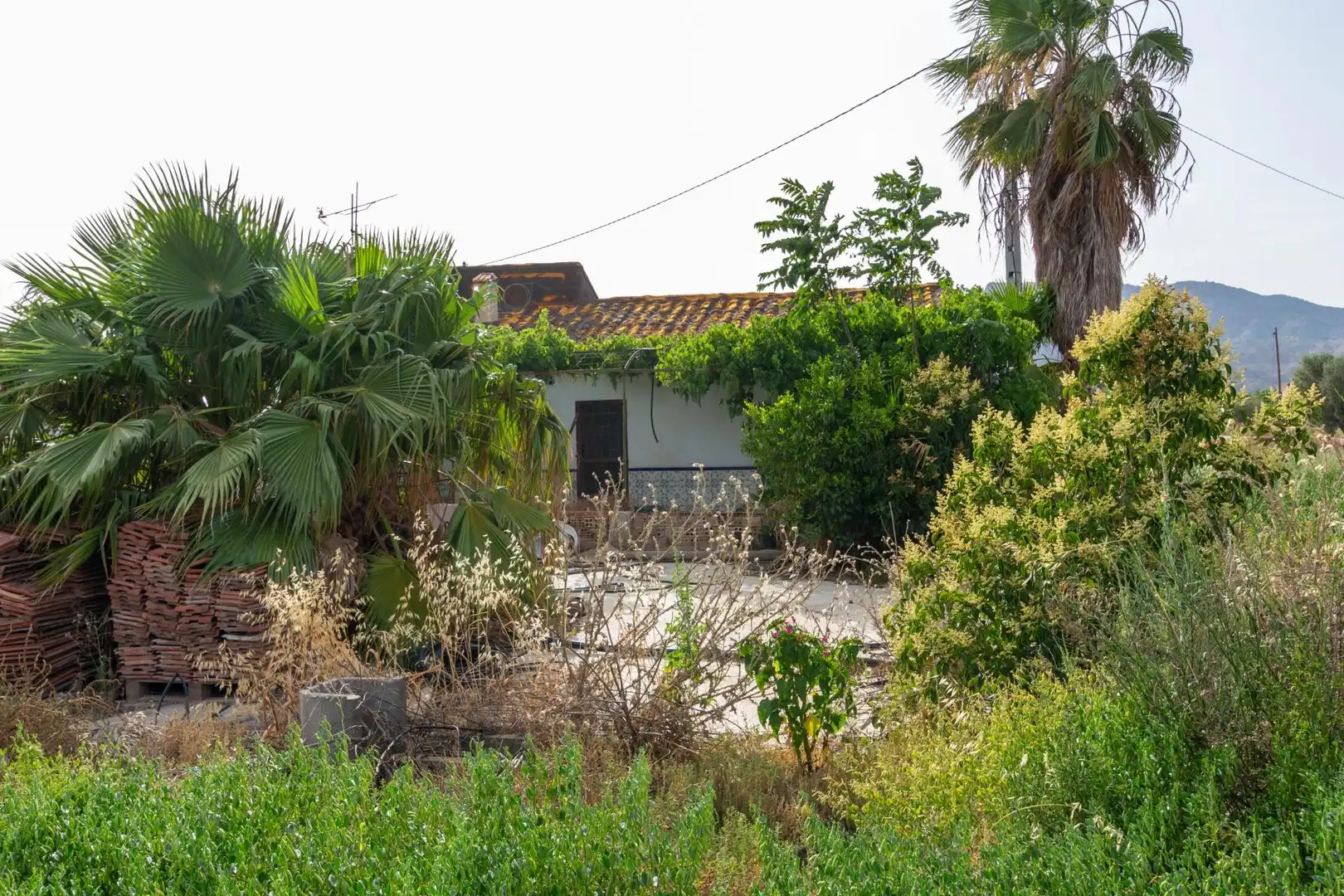 Vista exterior de Residencial en venta en Lorca