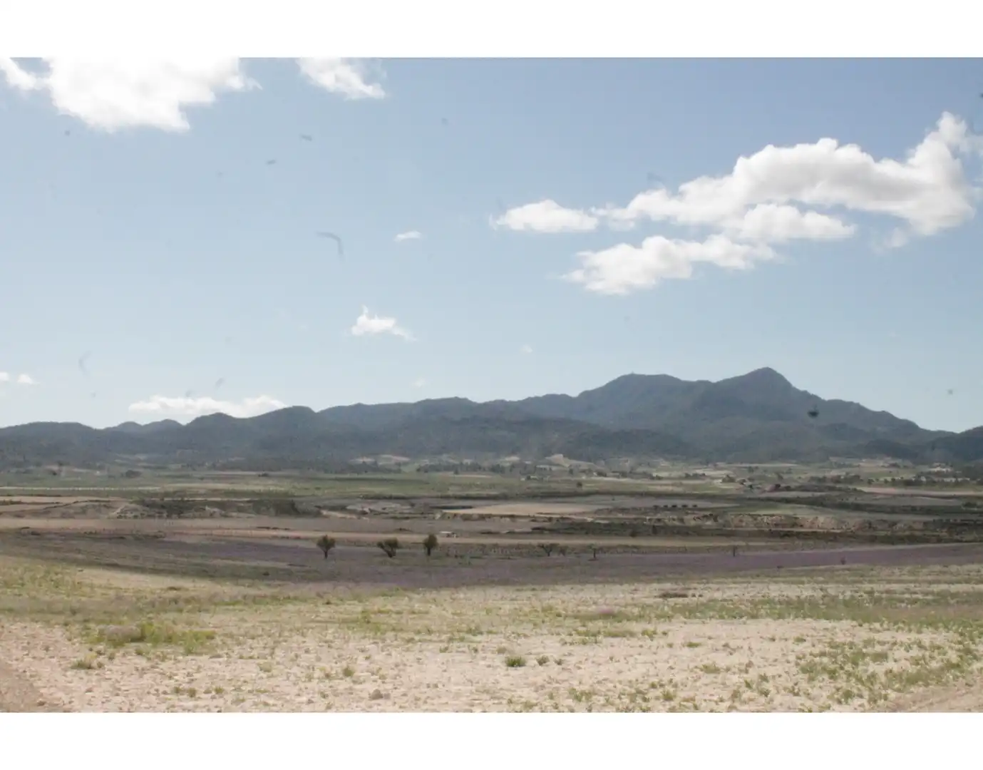 Country house for sale in Jumilla, imagen 24