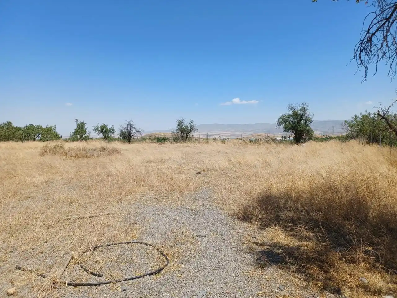 Buildings for sale in Dólar