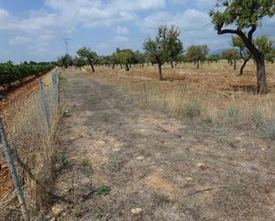 Land for sale in Binissalem