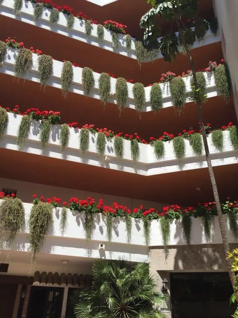 Vista exterior de Piso de alquiler en Marbella con Amueblado y Se aceptan mascotas