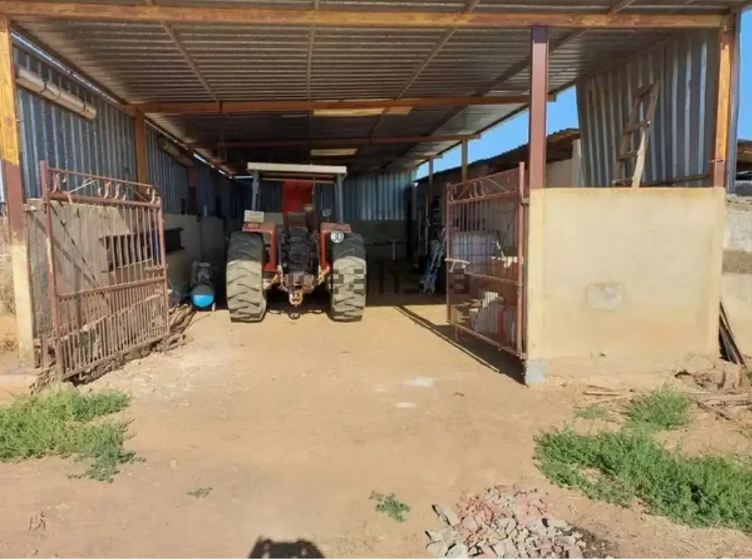 Rural land for sale in Sur, imagen 5