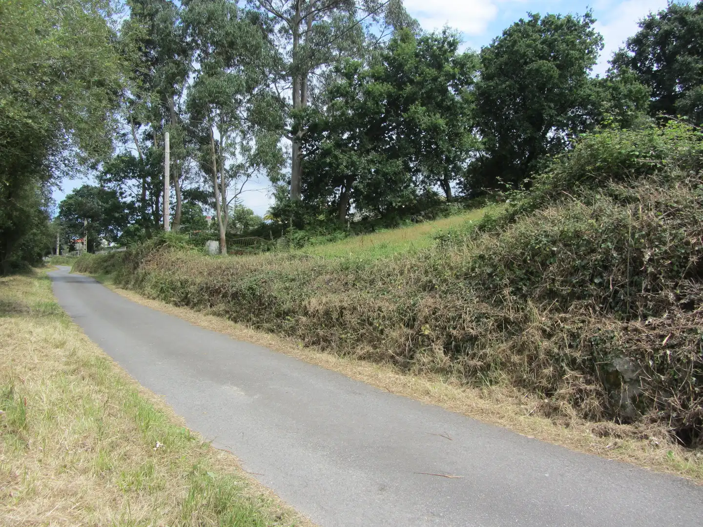 Terreny residencial en venda a Camin de los Payares, imagen 16