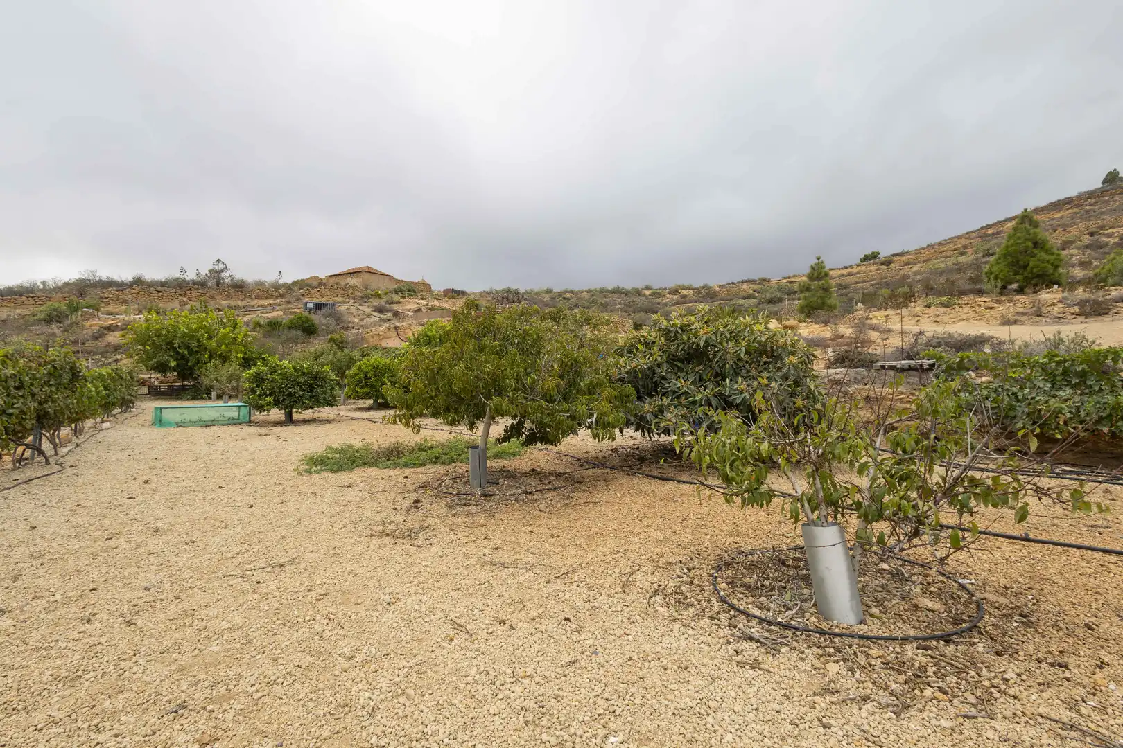 Terreno rustico in vendita a Calle San Bartolomé, imagen 15