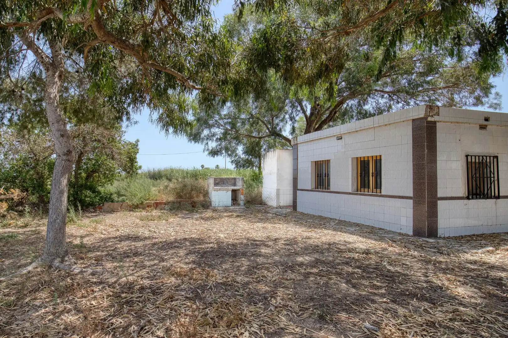 Vista exterior de Finca rústica en venta en Elche / Elx con Jardín privado, Terraza y Trastero