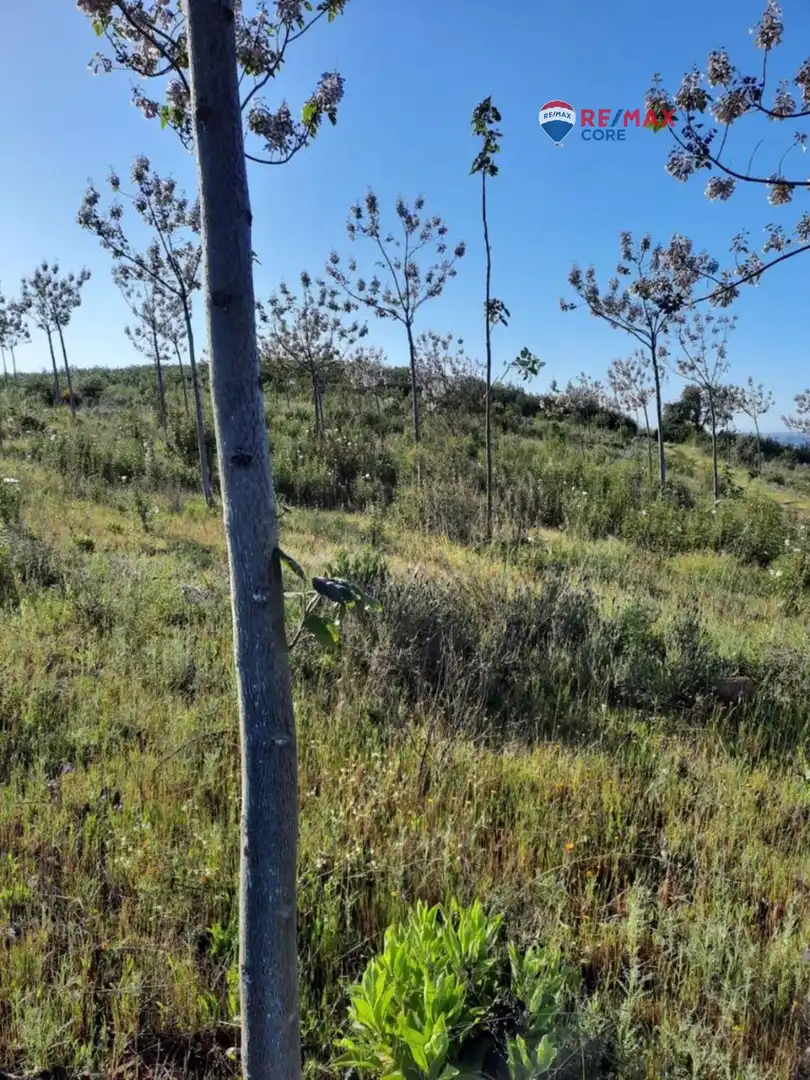 Terreni e lotti in vendita a Alburquerque, imagen 38