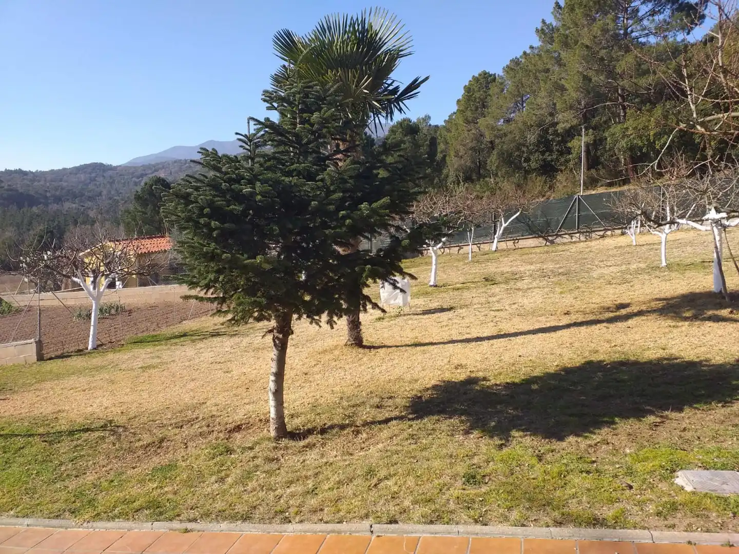 Villa mit Garten zum Verkauf in Sant Feliu de Buixalleu, imagen 27