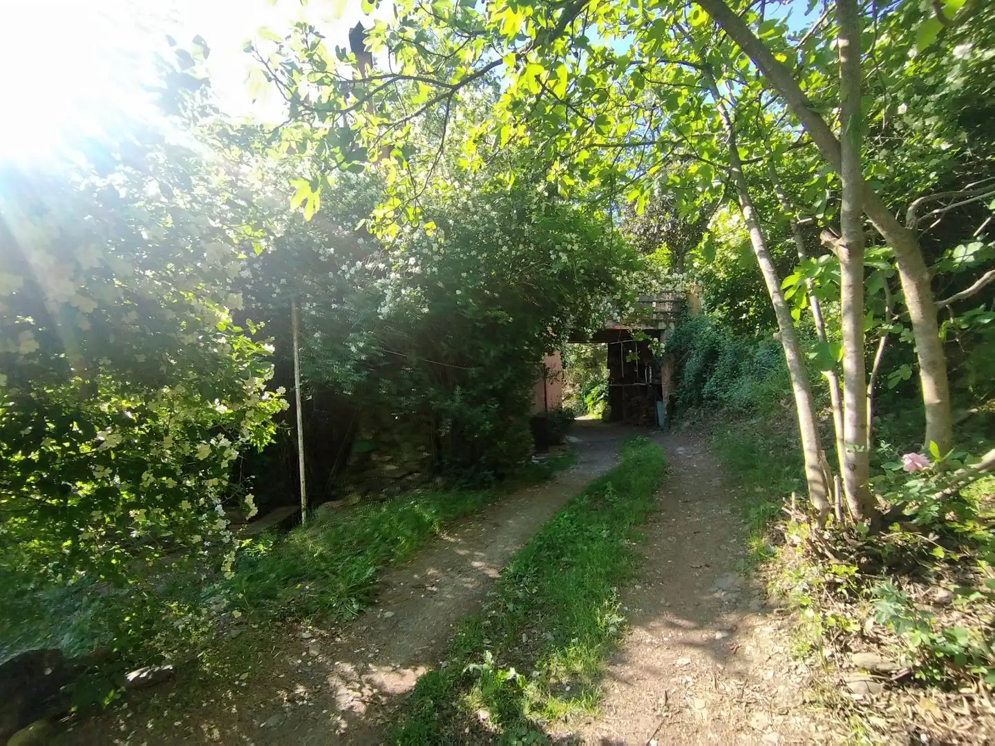Finca rústica en venda en Sant Esteve de Palautordera