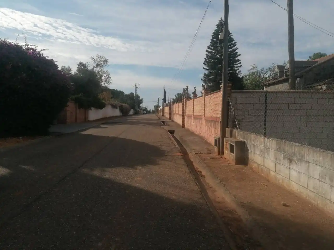 Vista exterior de Casa o xalet en venda en Carmona amb Jardí privat