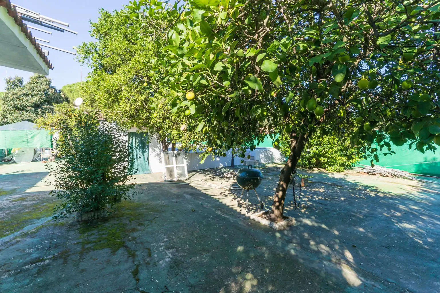 Garden of Country homes for sale in Bonares  with Private garden, Terrace and Swimming Pool