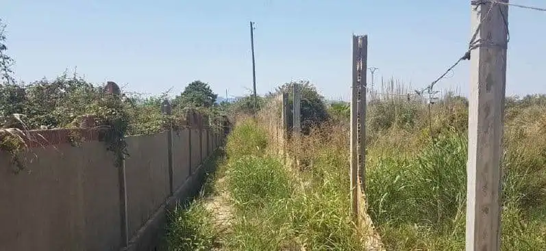 Residential land for sale in Sueca ciudad, imagen 2